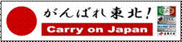 carry_on_japan.jpg