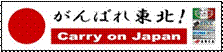 carry_on_japan.jpg