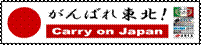 carry_on_japan.jpg